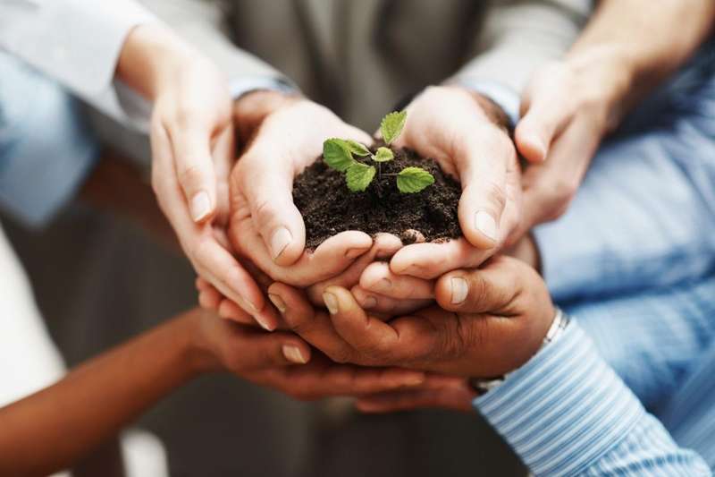 supporting_org